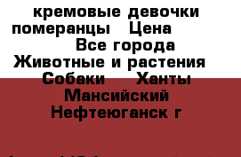 кремовые девочки померанцы › Цена ­ 30 000 - Все города Животные и растения » Собаки   . Ханты-Мансийский,Нефтеюганск г.